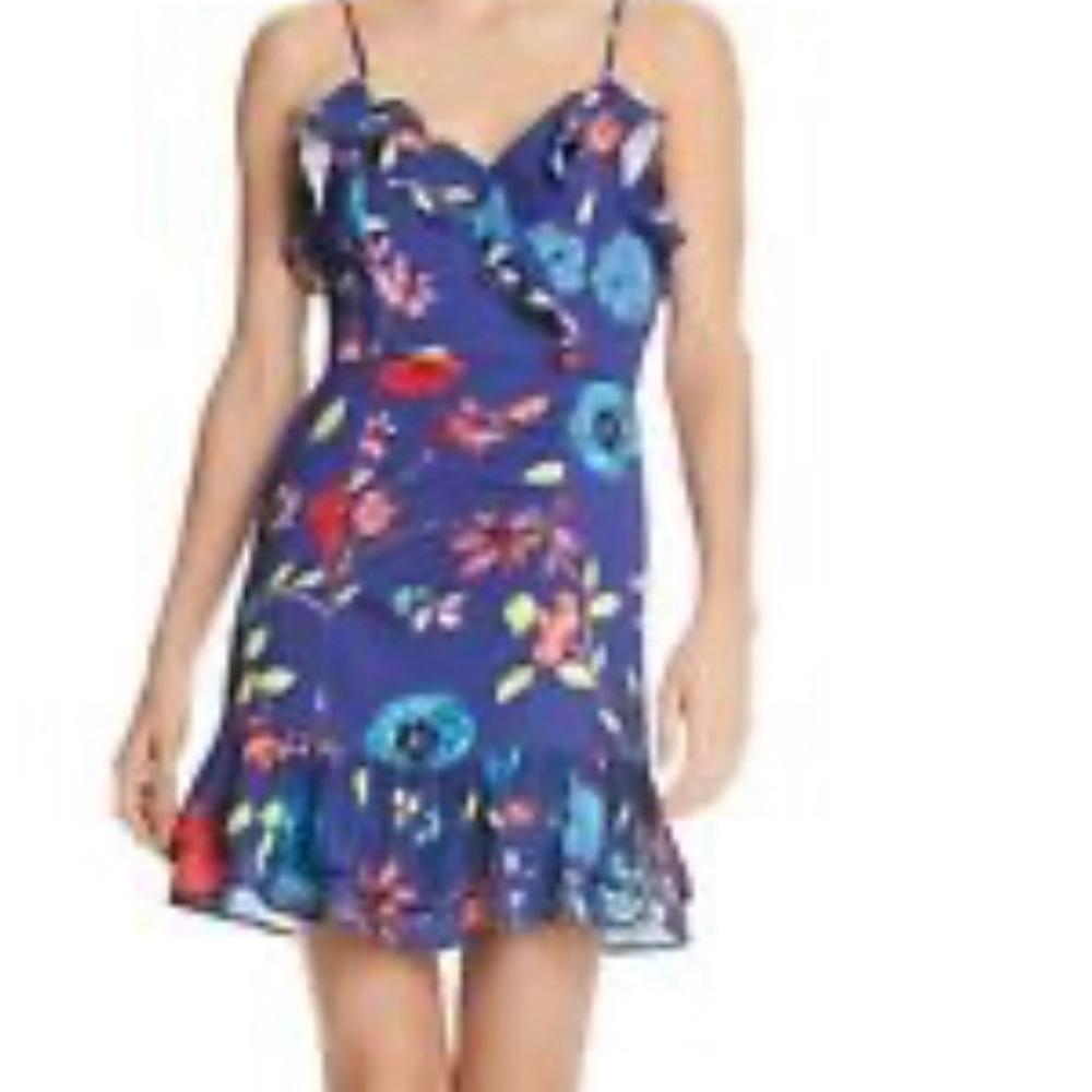 Parker Blue Valencia Erica Dress